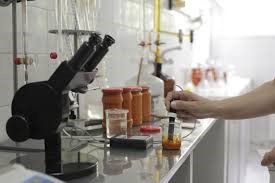 Εικόνα επιλογής